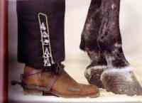 Huf und Fuss