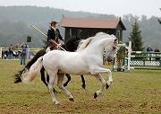 Garocha Bild1