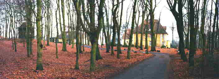 wald-klein