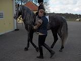Bild 17