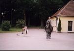 Bild 20