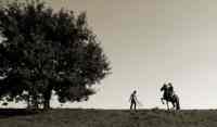 Jacques Toffi Bild 11