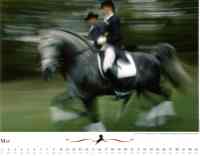 Noble Horse Gala 
