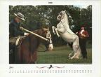 Noble Horse Gala July