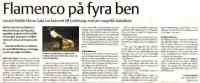 Skandinavien 5 