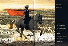 Dressur 2006 