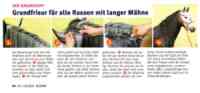 stgeorg 3
