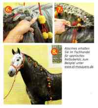 stgeorg 5
