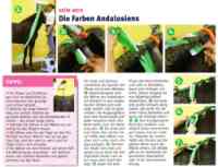 stgeorg 6