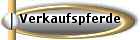 Verkaufspferde
